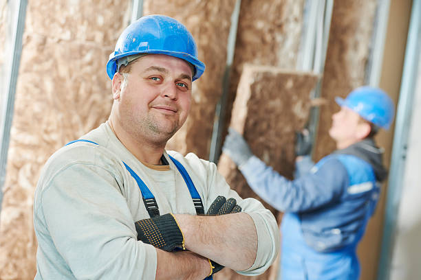 Best Insulation for New Construction  in Wyong, MI