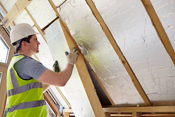 Best Wall Insulation Contractor  in Wyong, MI